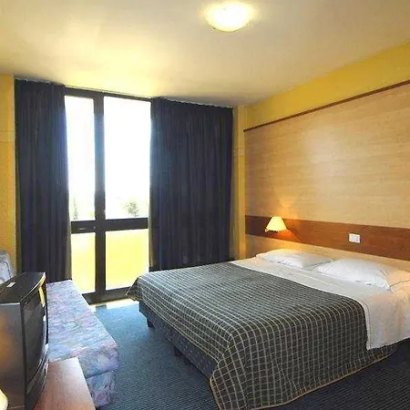 酒店 佳迪萨诺中央旅游酒店 3*