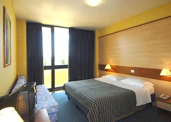 Hotel Centro Turistico Gardesano 3*